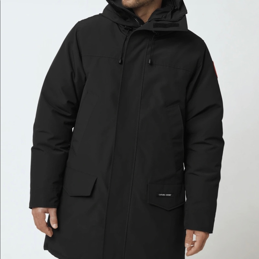 Black Canada Goose